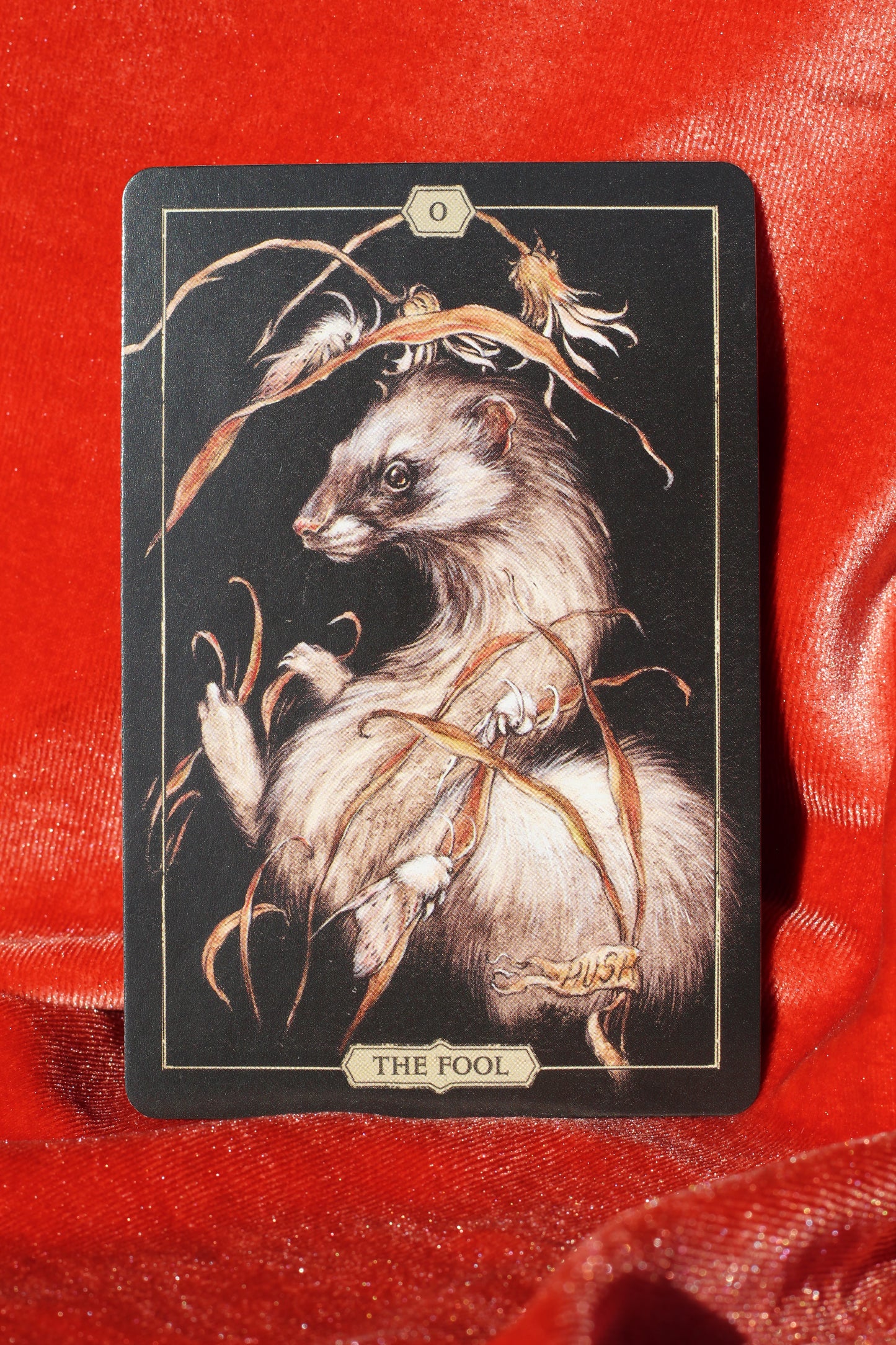 Hush Tarot Deck